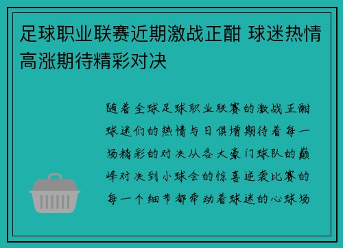 足球职业联赛近期激战正酣 球迷热情高涨期待精彩对决 足球职业联赛近期激战正酣 球迷热情高涨期待精彩对决